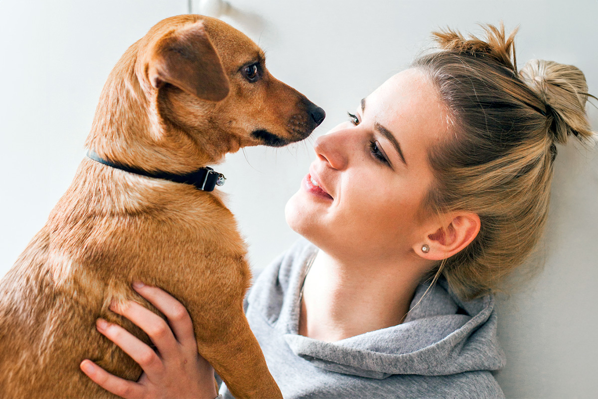 Person looking at dog