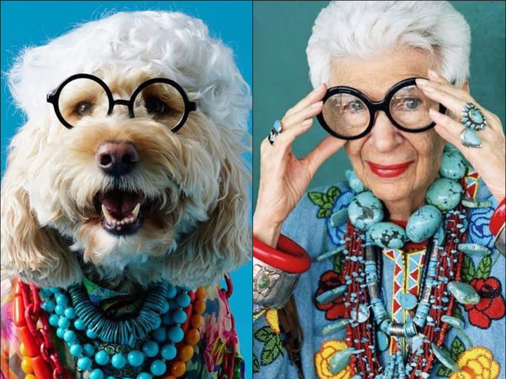 iris apfel and dog