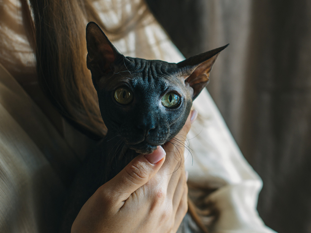 Woman holding her cat in a dark room.