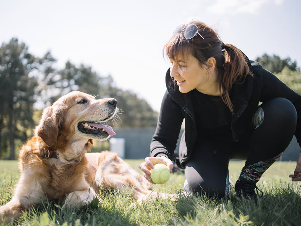 Woman holding ball while squatting next to a senior golden retriever dog.