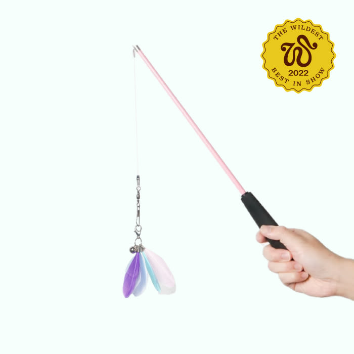 the feather wand in a hand