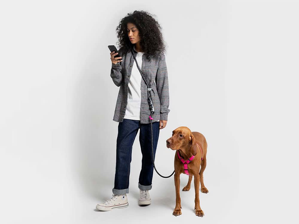 Woman with big curly hair wearing a white t-shirt under a gray jacket and dark wash jeans with white Converse sneakers using the hands free Zee.dog leash on her tan dog standing next to her while she looks at her phone
