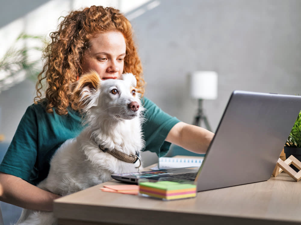 Woman with ginger hair at a table with her laptop and her white dog on her lap