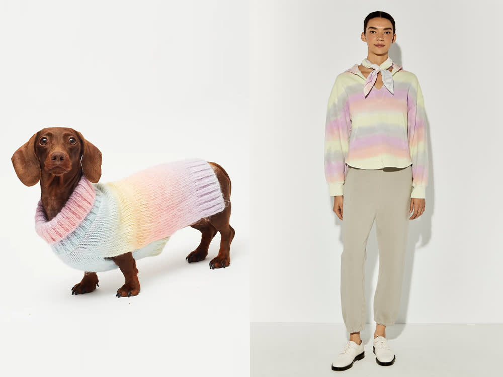 pastel colored sweater on weiner dog and on human model