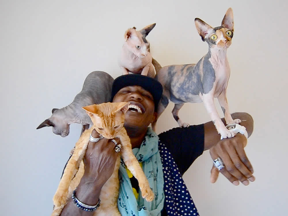MoShow holding a cat and cats climbing on him
