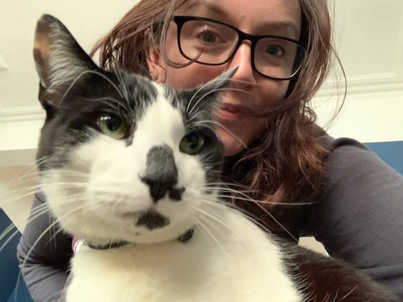 picture of cat sitting on woman's lap