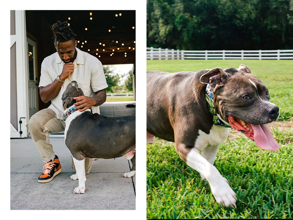 Left: Logan Ryan pets Leo, who looks up at him; Right: Leo runs with his tongue out