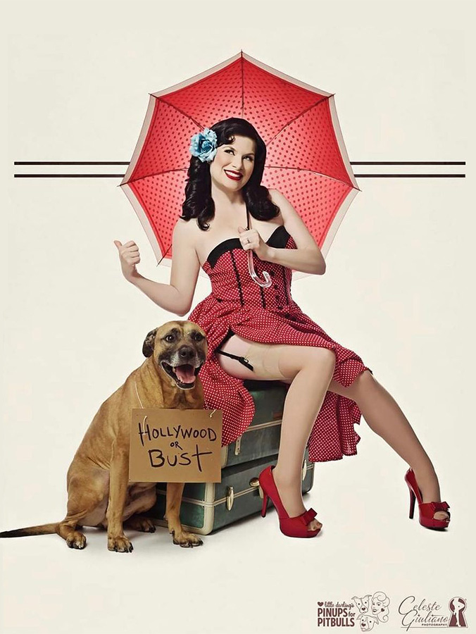 Pinups For Pitbulls