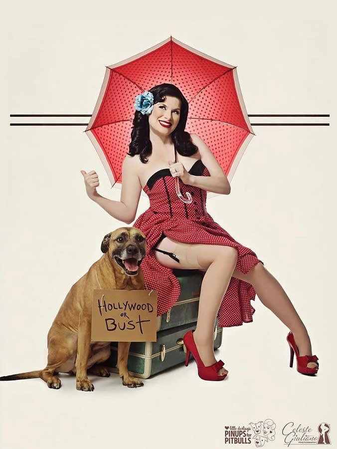 Pinups For Pitbulls