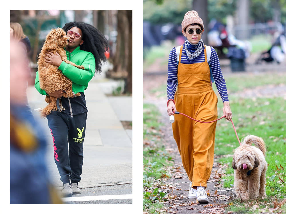 watching new york street style with dogs