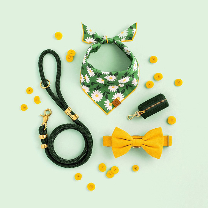 the bandana, leash, poop bag, and yellow bowtie