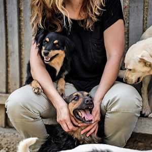 Woman outside with shelter dogs.