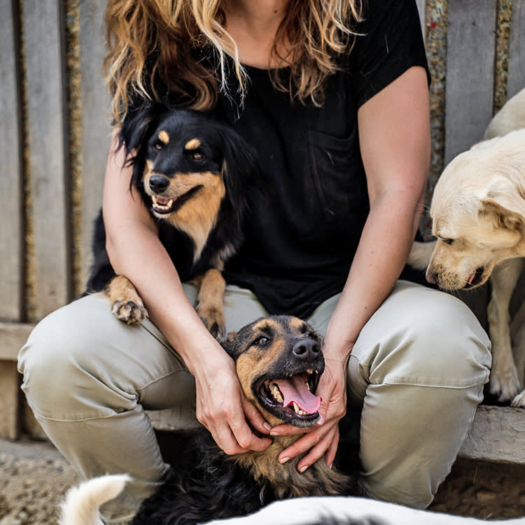 Woman outside with shelter dogs.
