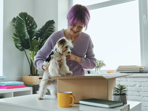 a person opening a box with a small dog looking in