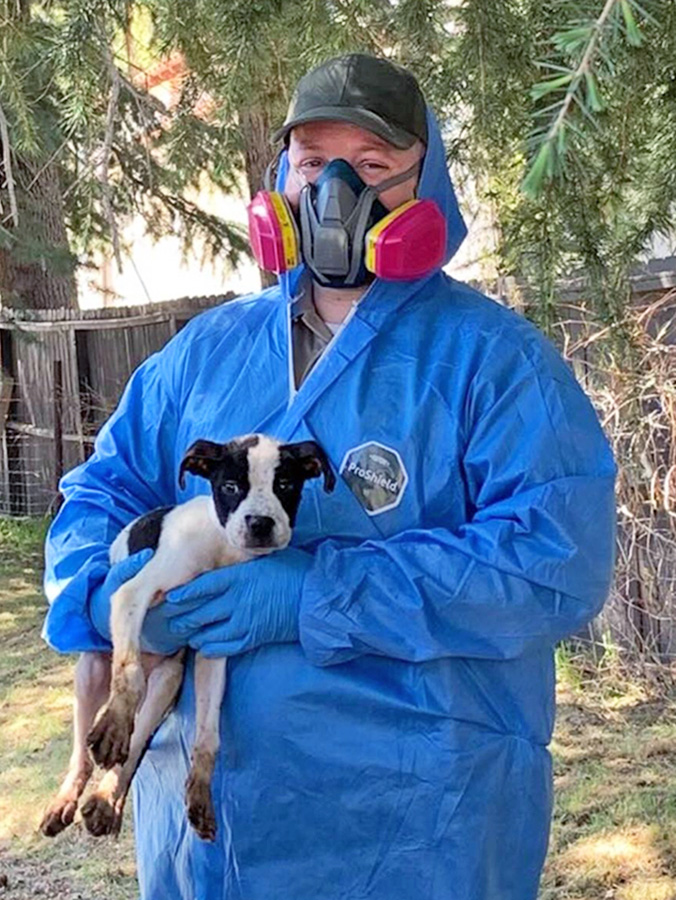 Owner vows fight after hundreds of dogs, cats seized in L.A. County; shelters seek help.