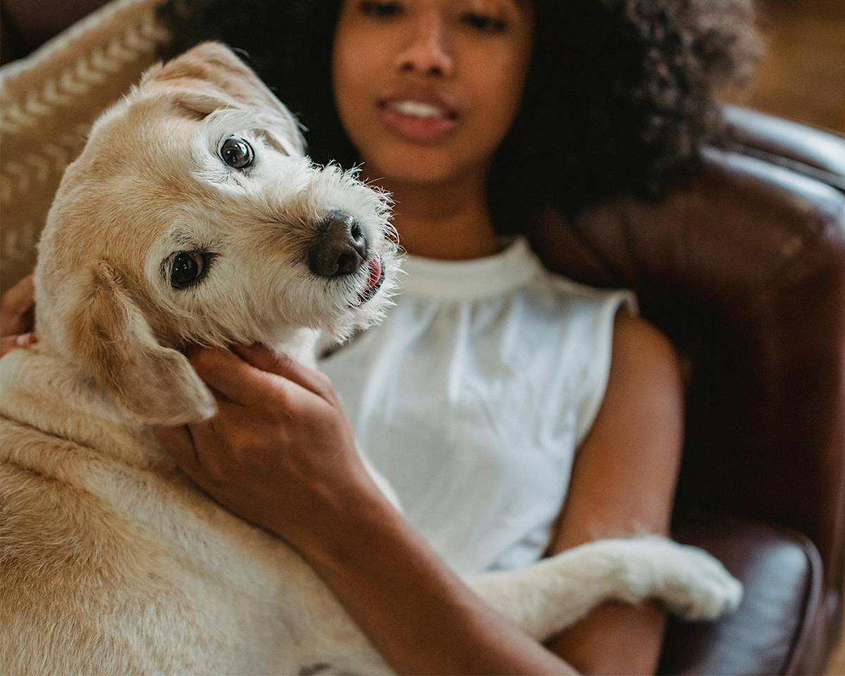 woman lying with dog on a sofa