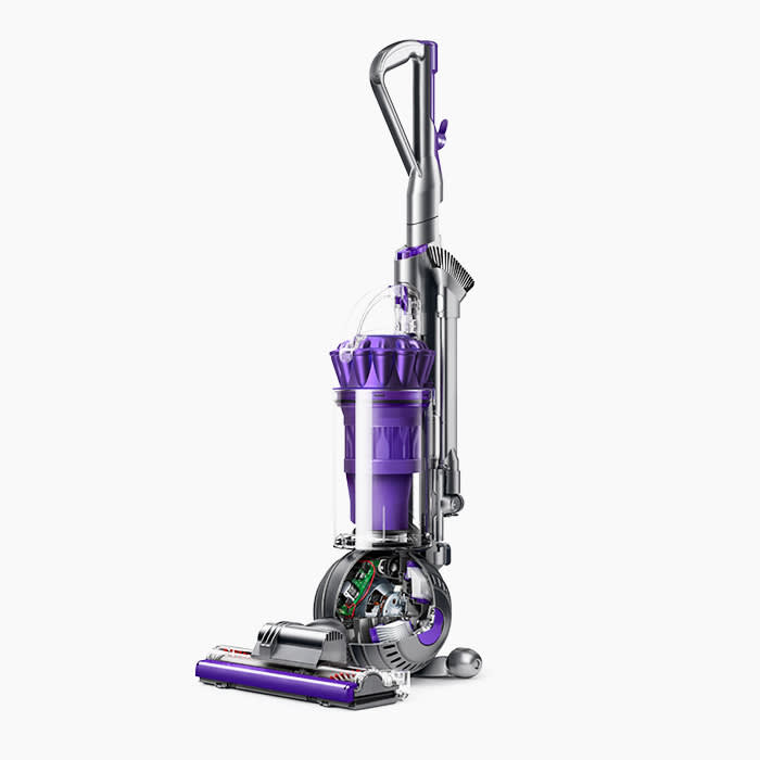 Dyson Ball Animal 2 Upright Vacuum