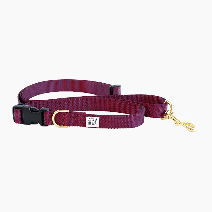 purple leash