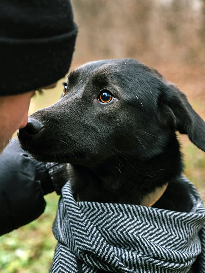 Man looking at his dog's eyes outside.