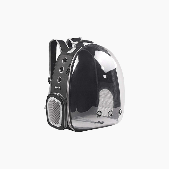 the black cat backpack carrier