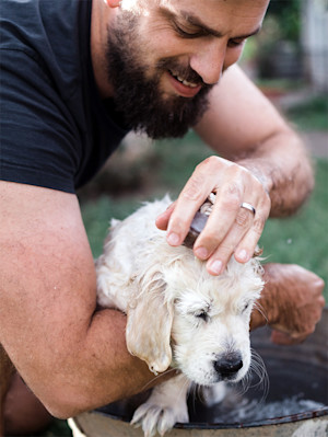 bearded man gives his puppy a bath