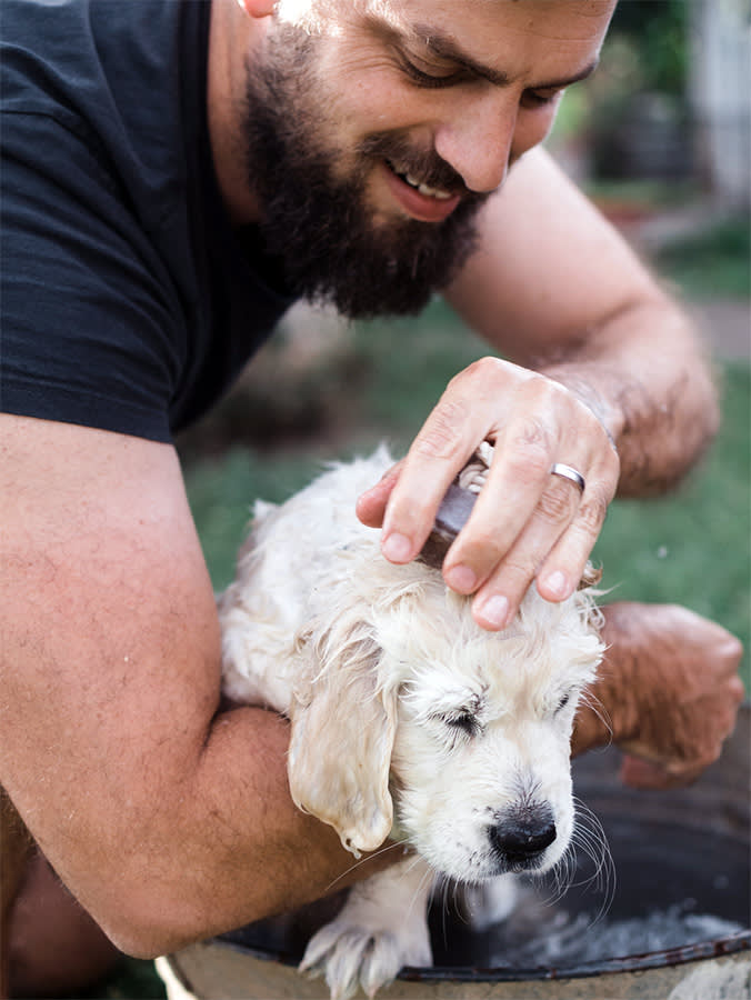 bearded man gives his puppy a bath