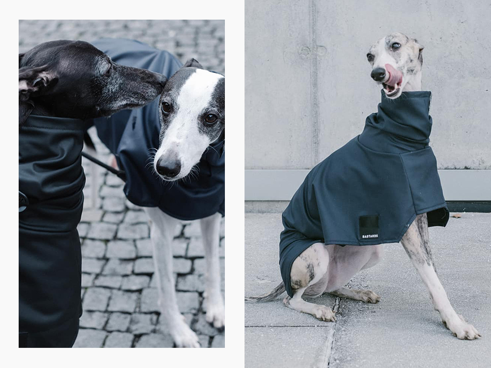 dogs wearing Bastards dogwear dog coats