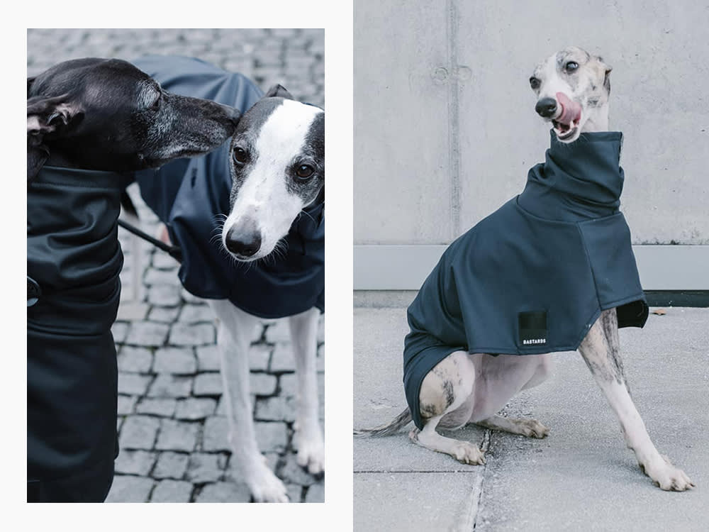 dogs wearing Bastards dogwear dog coats