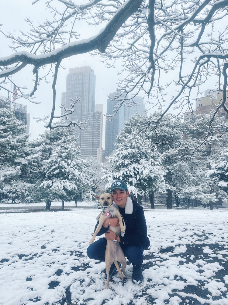a picture of a man hugging a dog in the snow with a city in the background