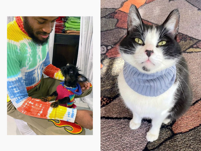 a dog and cat in giu giu sweater products 