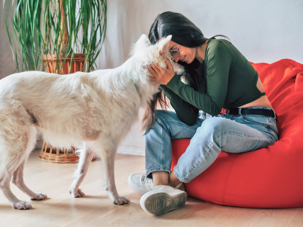  Young happy stylish woman plays with her fluffy white dog at home.