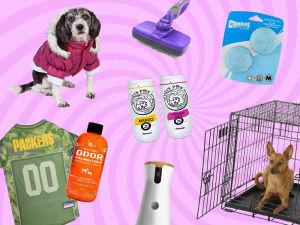 Collage of dog products on a pink swirly background