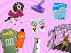 Collage of dog products on a pink swirly background
