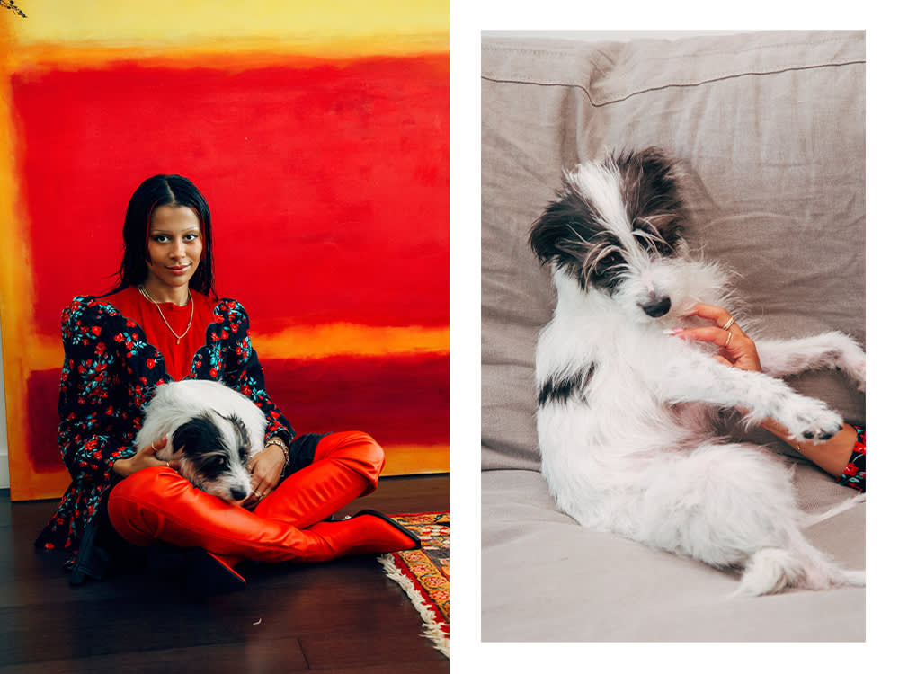 Sami Miró with her small white rescue dog on her lap; Sami Miró's small white rescue dog on a cushion