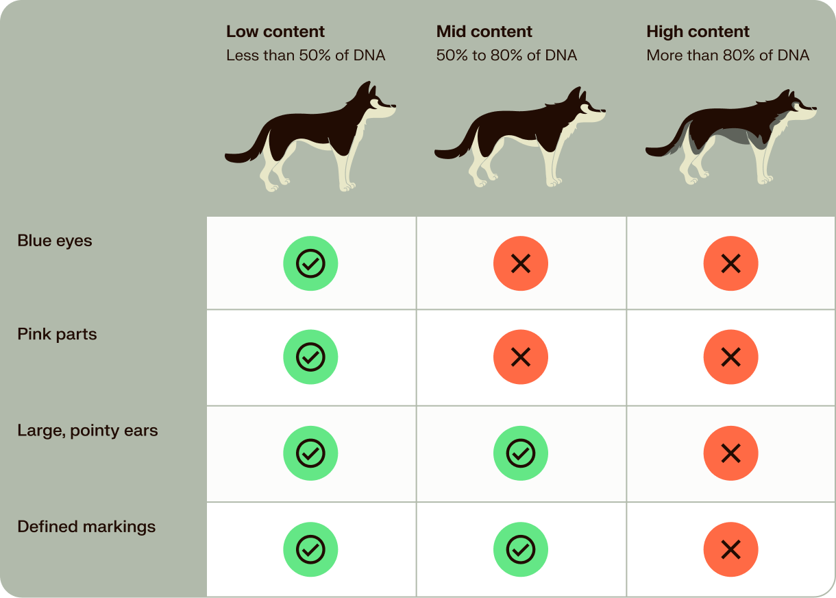 wolfdogs vs. dogs chart