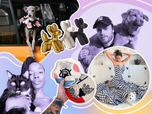 Collage of people, pets and products on a gradient background with white outlines