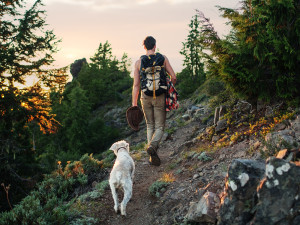 Hiking with your dog? Do your doo diligence!