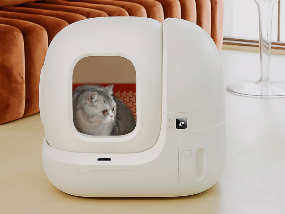 cat in white electronic litter box