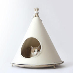 a cat inside a tent 