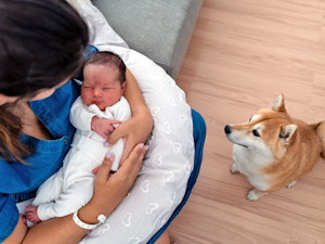 Woman holding her baby while the dog looks at them.