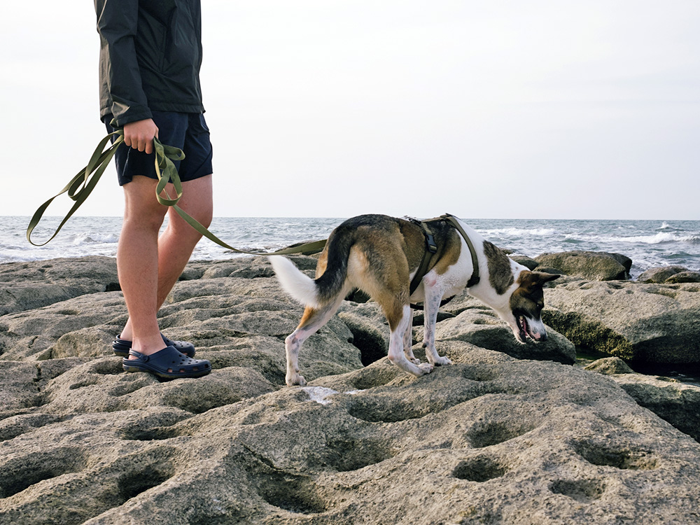 Man walking his dog outside on a leash, near the beach.
