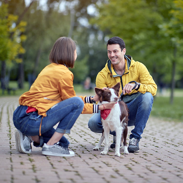 People petting a dog outside.