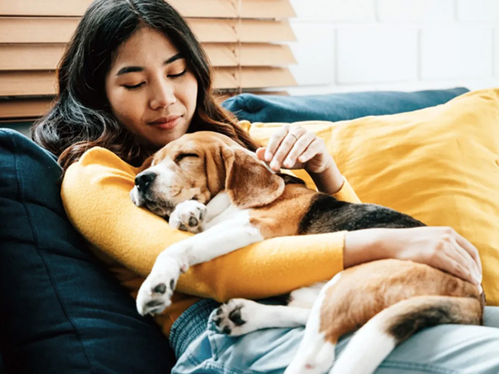 A small brown-and-black dog lies happily in a woman’s arms.