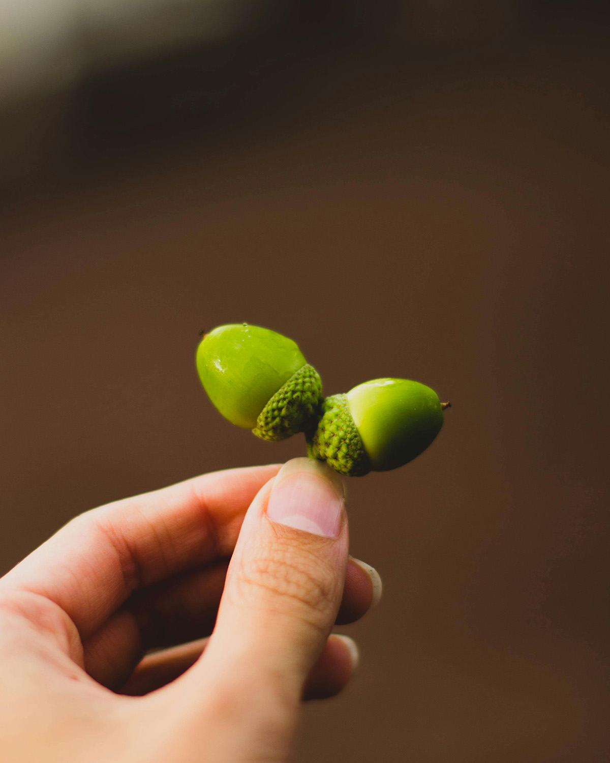 a person holding two green acorns between their fingers