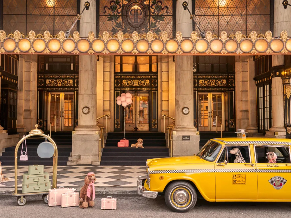 dogs outside the Plaza Hotel
