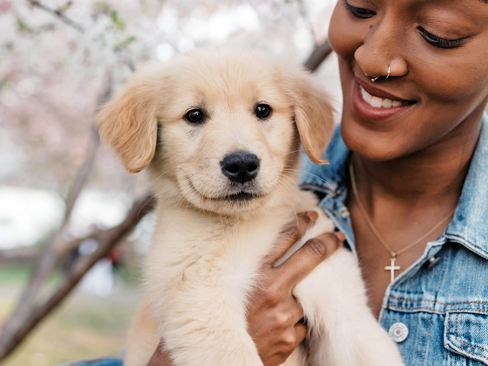 Woman holding her cute Labrador puppy outside.