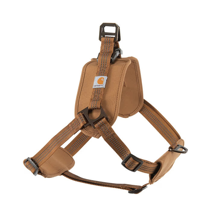 Carhartt Training Dog Harness
