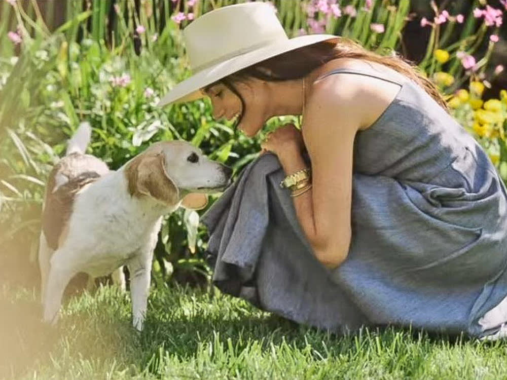 Meghan Markle and her late Beagle, Guy