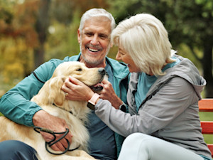 Senior couple playing with a Golden Retriever dog outside.