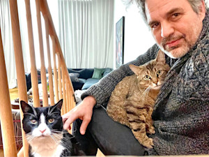 Mark Ruffalo and two cats at home.
